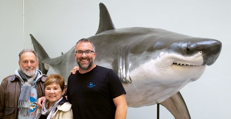 Megamouth Shark - Save Our Seas Foundation