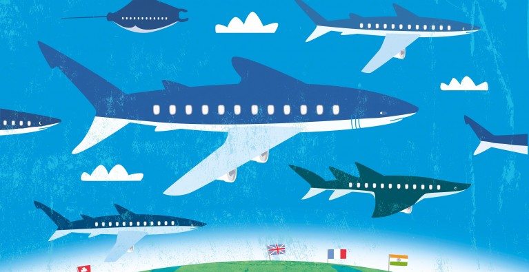 A reflection on Sharks International