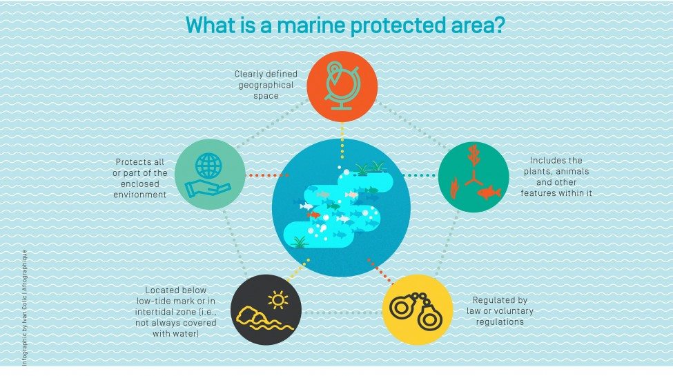 What is a Marine Protected Area?<br />
Artwork by Ivan Colic | AfroGraphique for the Save Our Seas Foundation