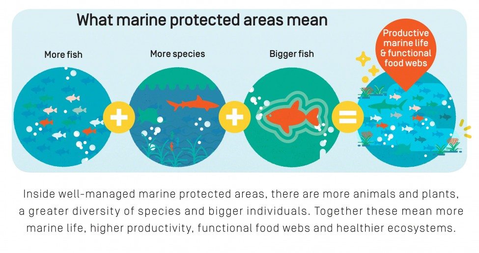 Marine Protected Area Infographic | Save Our Seas Magazine