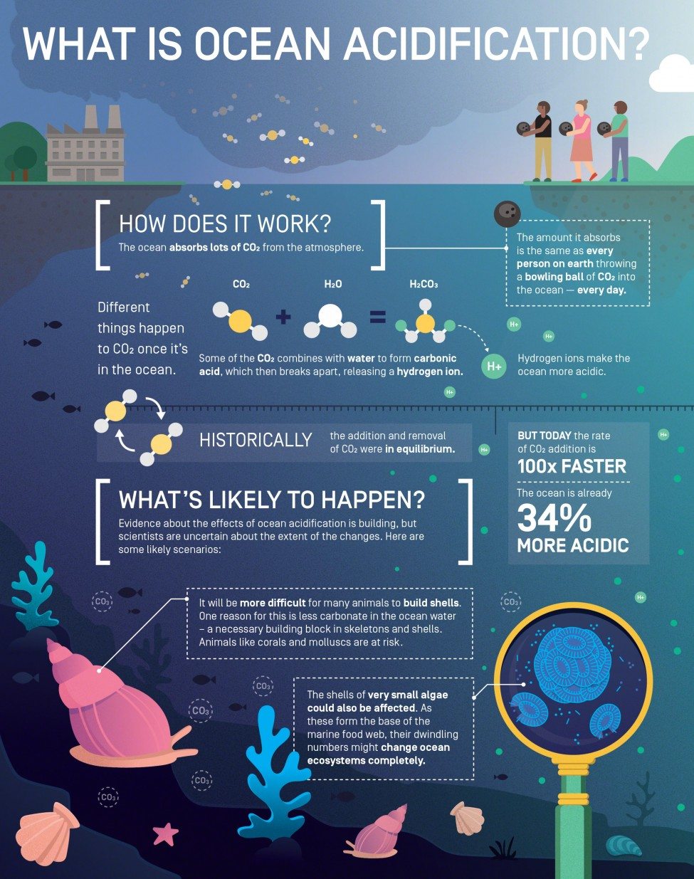 What is Ocean Acidification?<br />
Infographic by Elzemiek Zinkstok | Lushomo for the Save Our Seas Foundation
