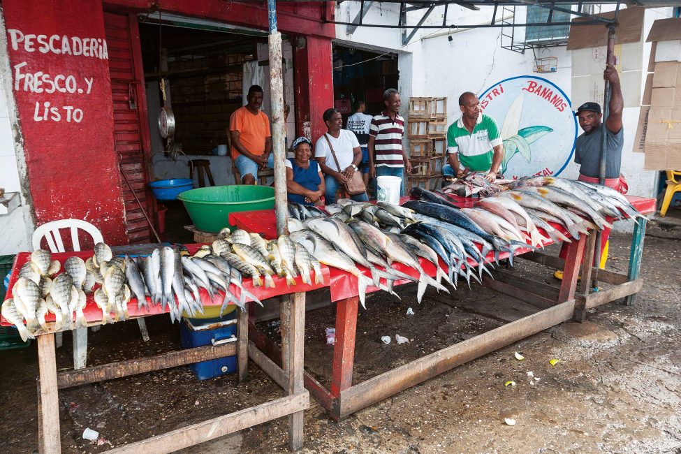 For the islanders of Colombia's Rosario and San Bernardo Park, fishing is a way of life. According to researcher Camila Cáceres (see page 16), these communities are also committed to taking care of one another and they share their extra <br />
catch with their neighbours.<br />
Photo by Julián Andrés Rodríguez Agudelo