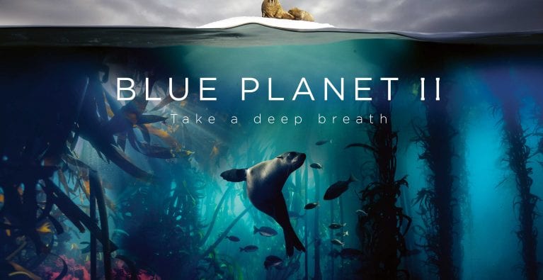 Blue Planet II wins hearts and minds